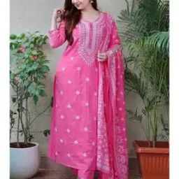 piludi Women Embroidery Kurta Set-picture-17