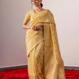 triyah Women Woven Saree with Contrast Border-picture-13