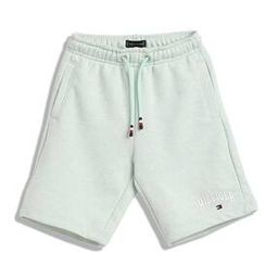 tommy hilfiger Boys Regualr Fit Shorts-picture-17