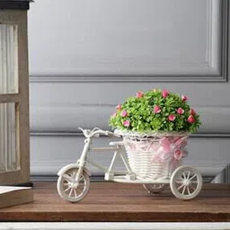 foliyaj Rickshaw Plant with Small Pink Flowers-picture-43
