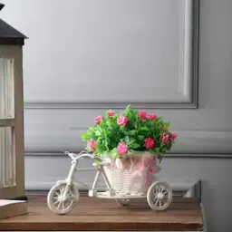 foliyaj Rickshaw Plant with Green Leaves & Roses-picture-12