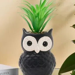 umai Artificial Pineapple Leaves with Owl Shaped Pot-picture-43