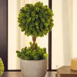 pure home and living Faux Pineapple Grass Plant with Pot-picture-12