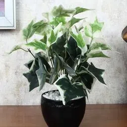 foliyaj Artificial Plant with Pot-picture-26