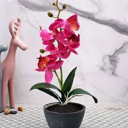 tayhaa 1 Pieces Orchid Artificial Plant With Pot-picture-10