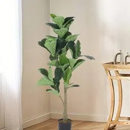 home bloom Decoration Artificial Fiddle Leaf Fig Plants-picture-52