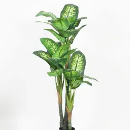 home bloom Decoration Artificial Dieffenbachia Plants Indoor Outdoor with Pot image 1