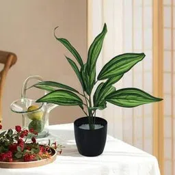 home bloom Beautiful Artificial Dracaena Plant Mini Bush Basic Black Pot-picture-15