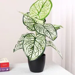 home bloom Artificial Miniature PVC Silk Floor Plant with Big Leaves  -picture-11