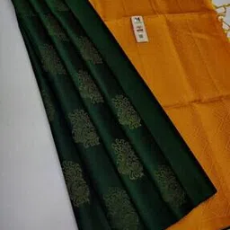 marziyaa Woven Saree with Contrast Border-picture-27