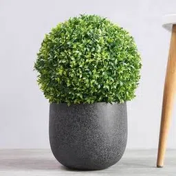 pure home and living Artificial Seagrass Plant-picture-44