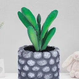 kuber industries Artificial Plant with Plant-picture-13