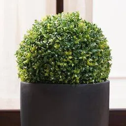 pure home and living Faux Seagrass Ball - Small-picture-35