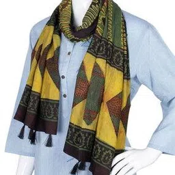 avishya Women Silk Cotton Stylish Handloom Stole-picture-16