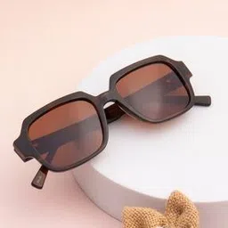 ted smith Men Wayferers Sunglass-picture-12