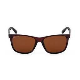royal son CHI00121-C2 Full-Rim Square Sunglasses-picture-32