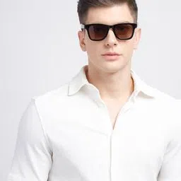 opium OP-10138-C01-49 Wayfarer Sunglasses-picture-10