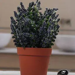 kookee Artificial Flower Plant for Home Decor        -picture-19