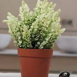 kookee Artificial Flower Plant for Home Decor        -picture-20