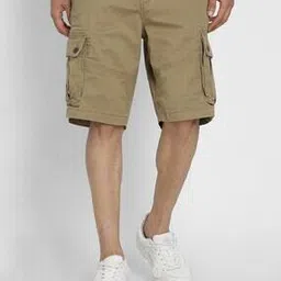 american eagle  Men Mid Rise Regular Fit Shorts-picture-12