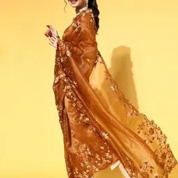 saree mall Embroidered Organza Saree with Scalloped Hem-picture-32