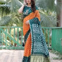 anaita Woven Saree with Contrast Border  -picture-16