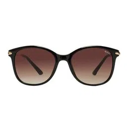 enrico EN P 1016 C1 Wayfarer Sunglasses-picture-15