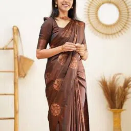 besucher Women Saree with Floral Woven Motifs-picture-29