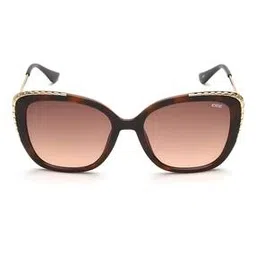 idee Women UV-Protected Butterfly Sunglasses-IDS3123C2SG-picture-34