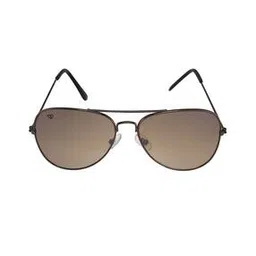 walrus Men Metal Frame Sunglasses-picture-38