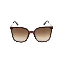 aislin Full-Rim Butterfly Sunglasses-picture-32