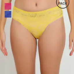 beach curve Women Pack of 3 Lace Hipster Panties with Elasticated Waistband-picture-36