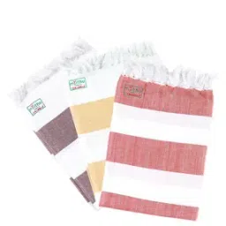 ramraj cotton Pack of 3 Striped Bath Towel 9" x 13"-picture-45