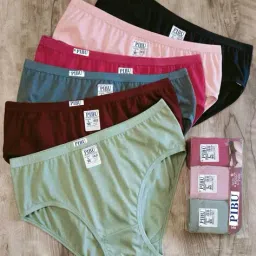 fashion comfortz Full Coverage High Rise Briefs image 1