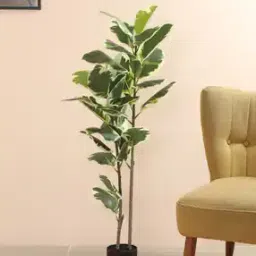 home bloom Garden Artificial Rubber Plant-picture-12