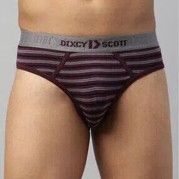 dixcy scott maximus Striped Briefs with Elasticated Waist-picture-40