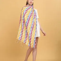j style Women Color Block Stole-picture-26