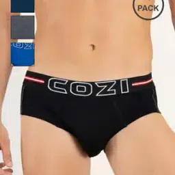 lux cozi Pack of 4 Briefs with Elasticated Waist-picture-25