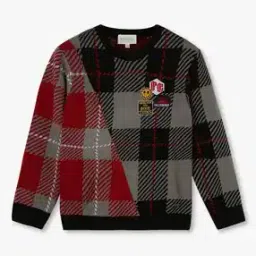 point cove Boys Checked Slim Fit Crew-Neck Sweater-picture-46