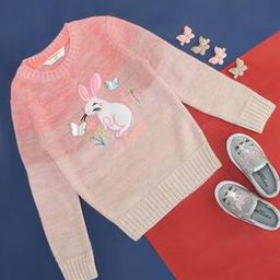 pantaloons junior Girl Embroidered Slip-On Pullover-picture-23