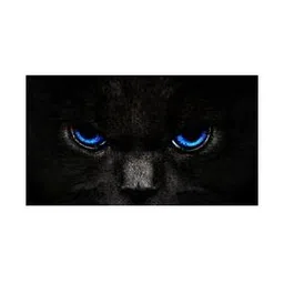 srginfotech Home Decore Wall Stickers-picture-50