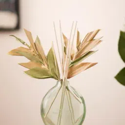fabindia Mehak Glass Diffuser image 1