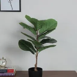arick decor Artificial Banana Leaf Plant for 15 Leaves with Pot-picture-33