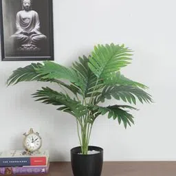 arick decor Artificial Dracaena Green Bush with Basic Pot-picture-42