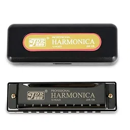 Ketostics JDR Key C Diatonic Blues Harmonica 10 Hole 20 Tones with Case, Mouth Organ for Beginners, Students, Kids & Professionals image 5