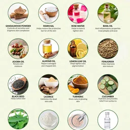 Indus Valley Pack of 2 Ultra Rich Replanishing Shea Butter Fruit Scrubs image 3