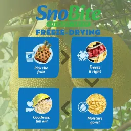 SnoBite Freeze-Dried Jackfruit Pouch | 100% Natural | No Added Sugar, Zero Preservatives | Healthy, Tasty, Gluten Free Snack for Adults and Kids | 16g image 3