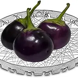 Stainless Steel Grill Jalli, Chota Tandoor image 4