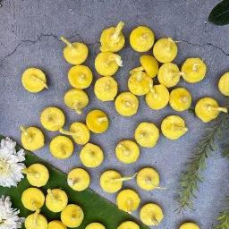 ServDharm Cow Ghee Diya Wicks - Set of 50 Units image 3