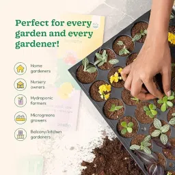 Moglecart Pack of 10 | 98 Cavity Seedling Tray for Plants | Plastic Nursery Germination & Propagation Tray | Reusable Tray for Vegetables, Flowers & Herbs | Gardening & Hydroponic Use image 4